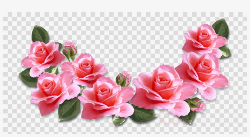 Pink Flowers Png Clipart Pink Flowers Rose - Pink Roses Flowers Transparent, transparent png