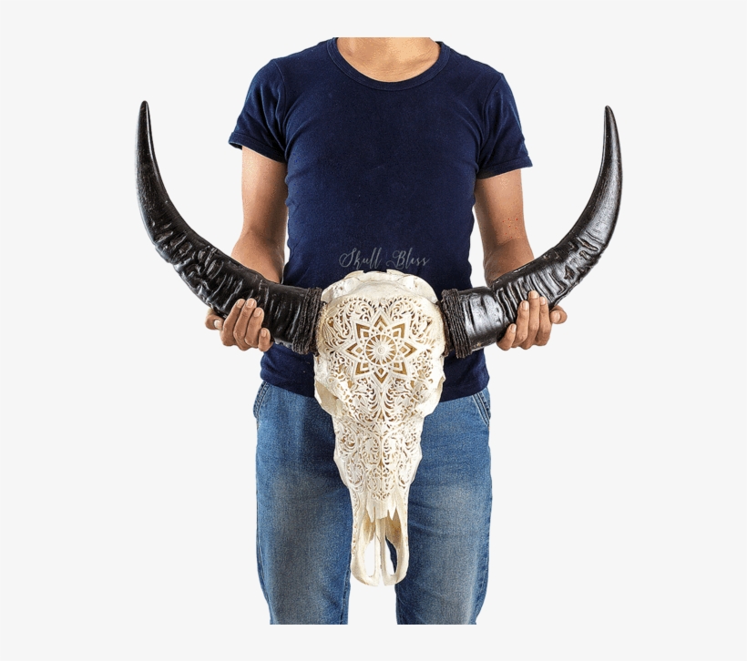 Carved Buffalo Skull - Mandala, transparent png