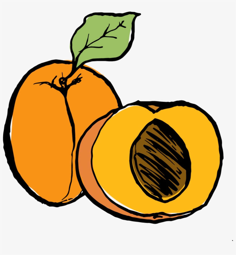 Apricot, transparent png