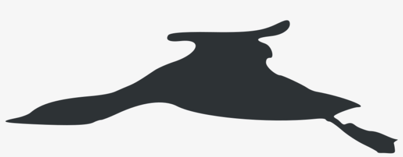 Plongeon Catmarin En Vol Vectorisé - Flight, transparent png