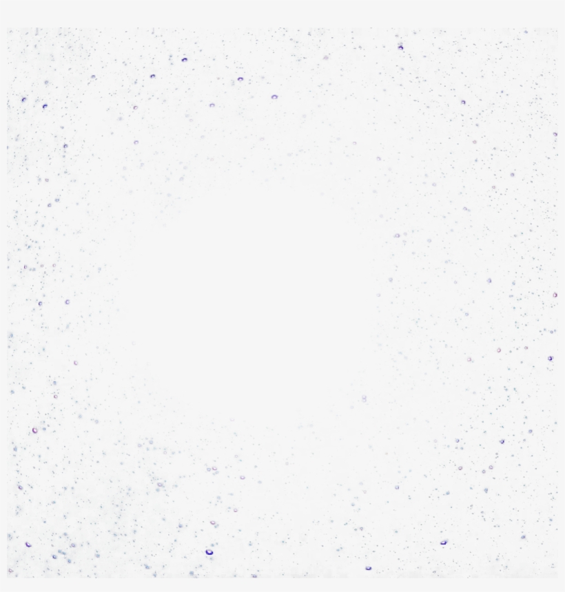 Stock Photography, transparent png