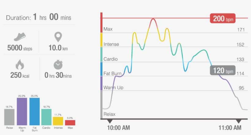 There Are Five Different Zones You Can Train In, With - Diagram, transparent png