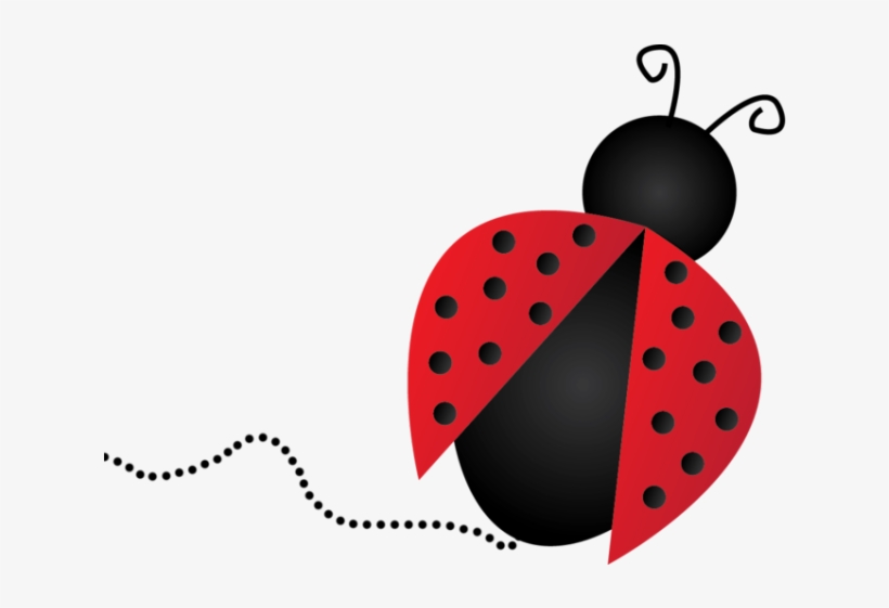 Are Ladybugs Is A Good Luck Or Bad Luck 640x480 PNG Download PNGkit