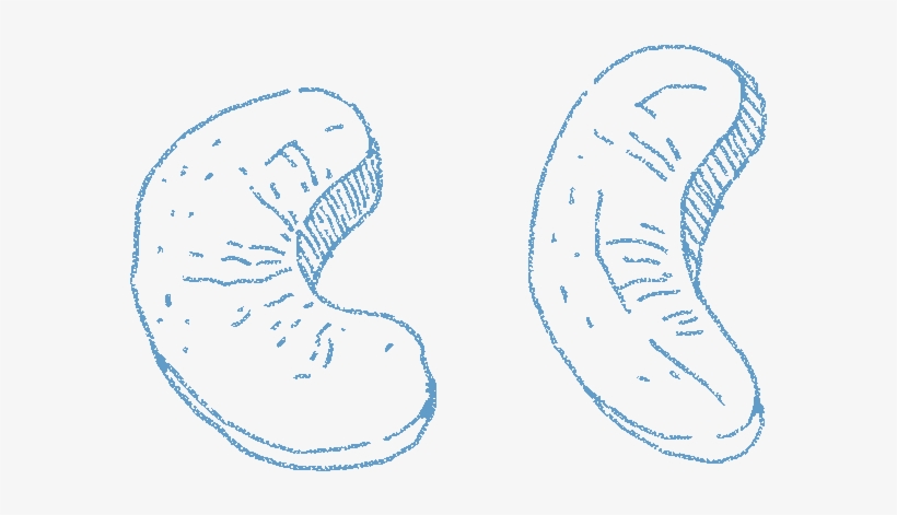 Color, transparent png