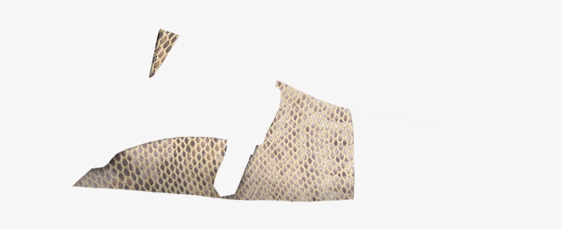 Fantasia-animal Print Arena - Grille, transparent png