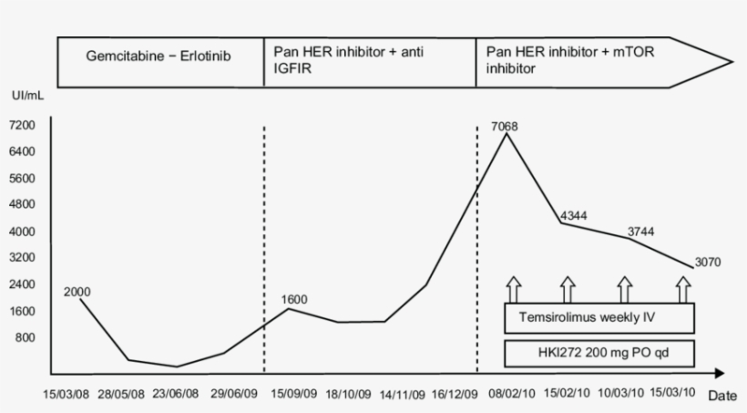 Tumor Marker Evolution During Therapy - Diagram, transparent png