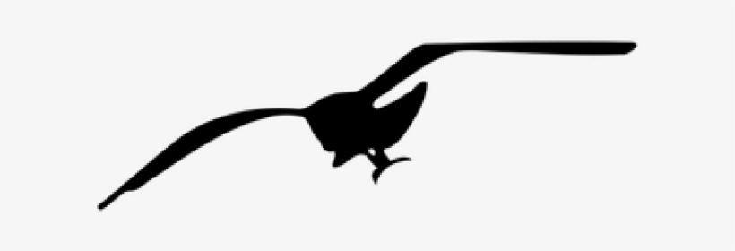 Seagull Clip Art, transparent png