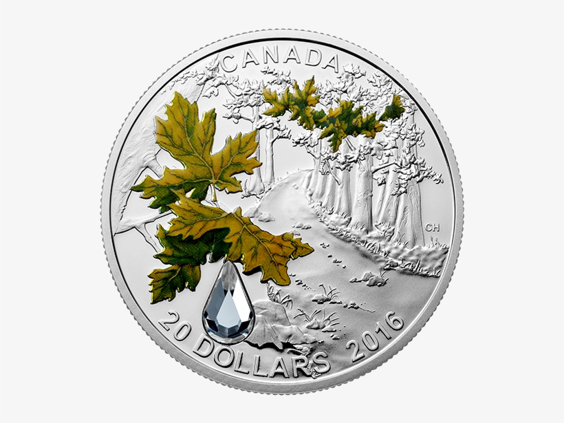 Jewel Of The Rain - Coin, transparent png