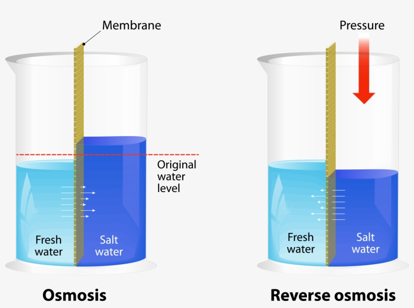 Reverse Osmosis System - Engineering Chemistry: Rare Topics [book], transparent png