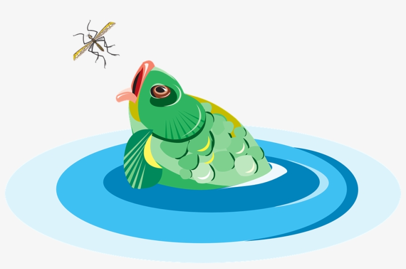 Collection Of Spring Water Cliparts - Pez Comiendo Insecto, transparent png