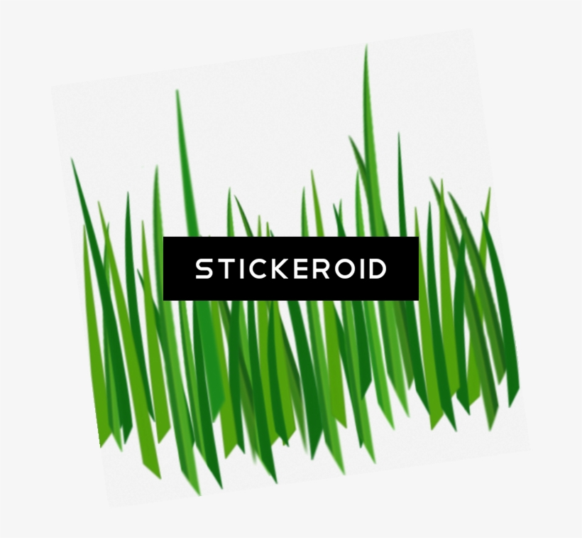 Grass Green Grass - Grass, transparent png