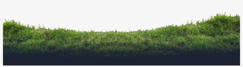 Constanza-bg - Lawn, transparent png
