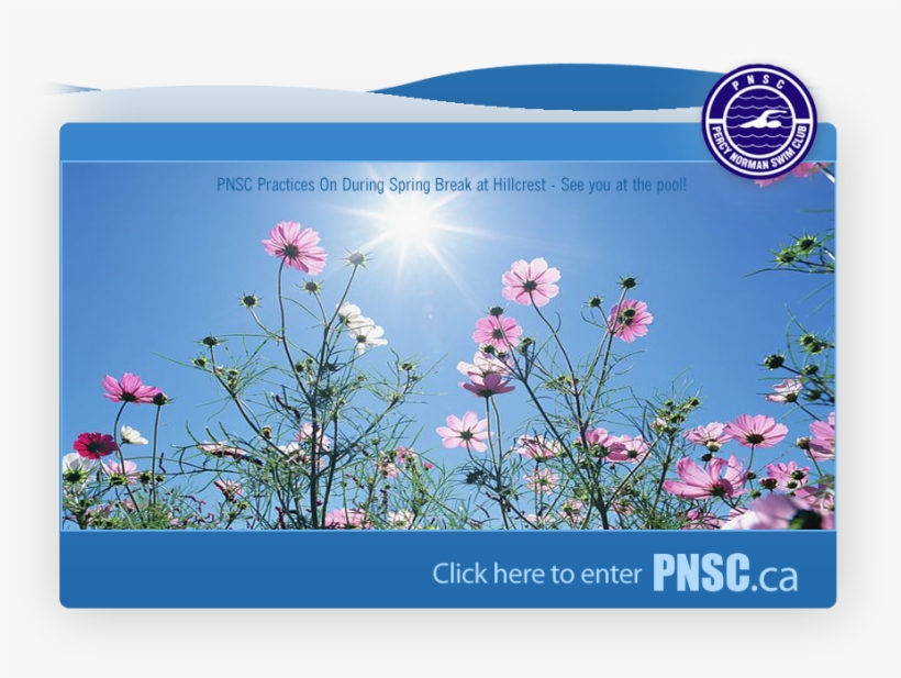 Spring-break - Sunrise Good Morning New, transparent png