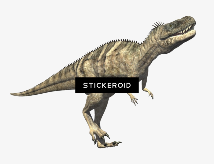 T Rex Pic Animals Dinosaur Reptile - Carnivores Dinosaur, transparent png