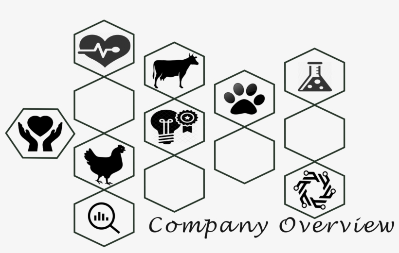 Every Living Thing And Human Wants A Good Health For - Vervain, transparent png