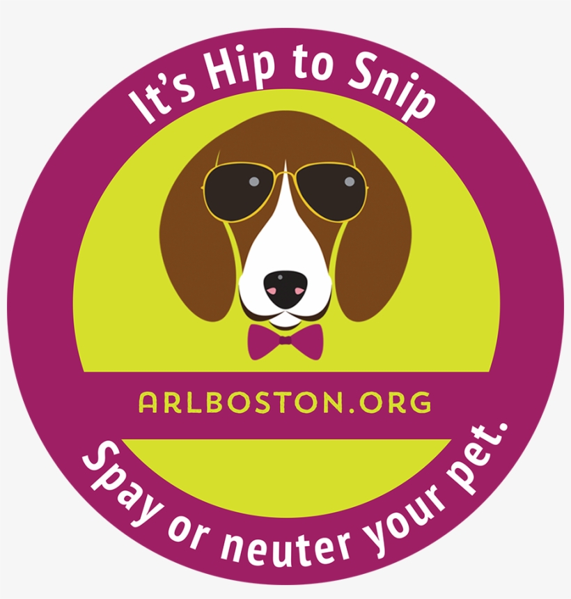 Spay Neuter Dog - Dog, transparent png
