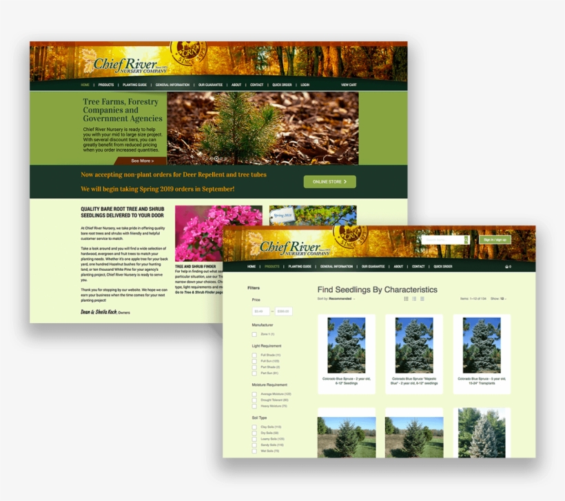 Tree & Shrub Finder Capability - Botanical Garden, transparent png