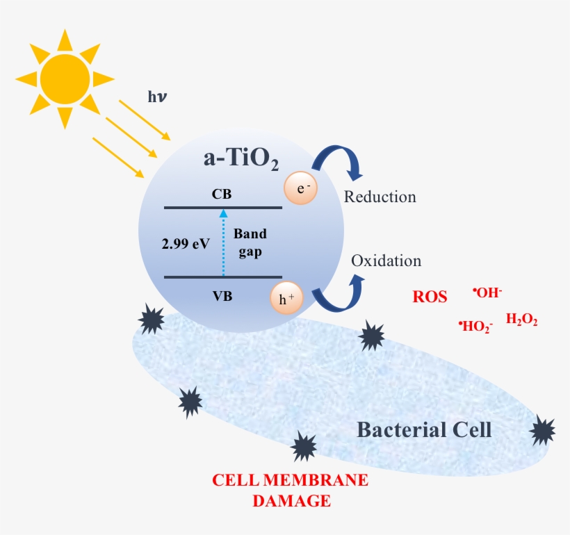 Graphical Abstract - Abstract, transparent png