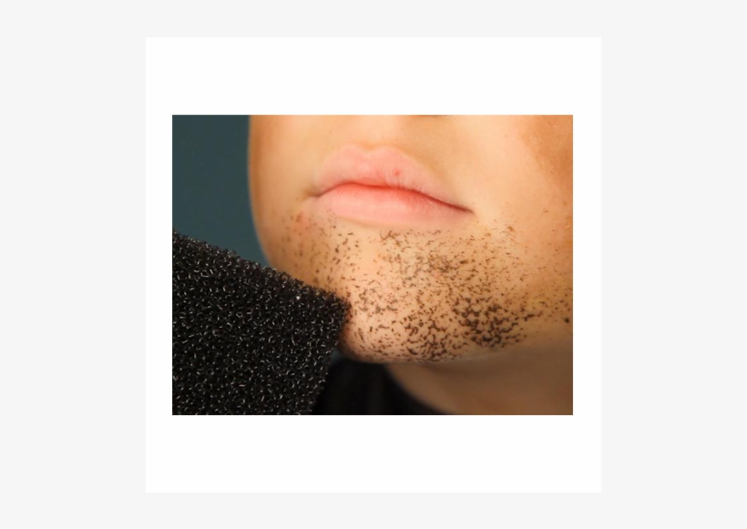 Eponges Stipple - Stipple Sponge Use, transparent png