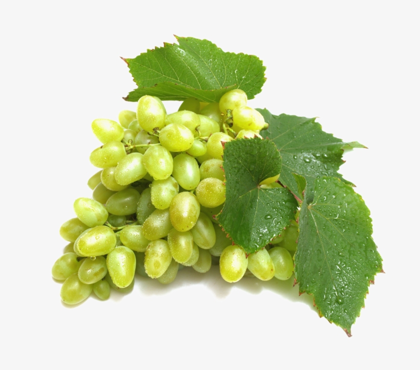 Grapes Png Image Transparent Background - Grapes Images Hd Download, transparent png