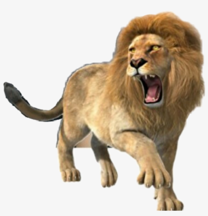 Lion Roar Roaringlion Animals Strength Power Tribeofjud, transparent png