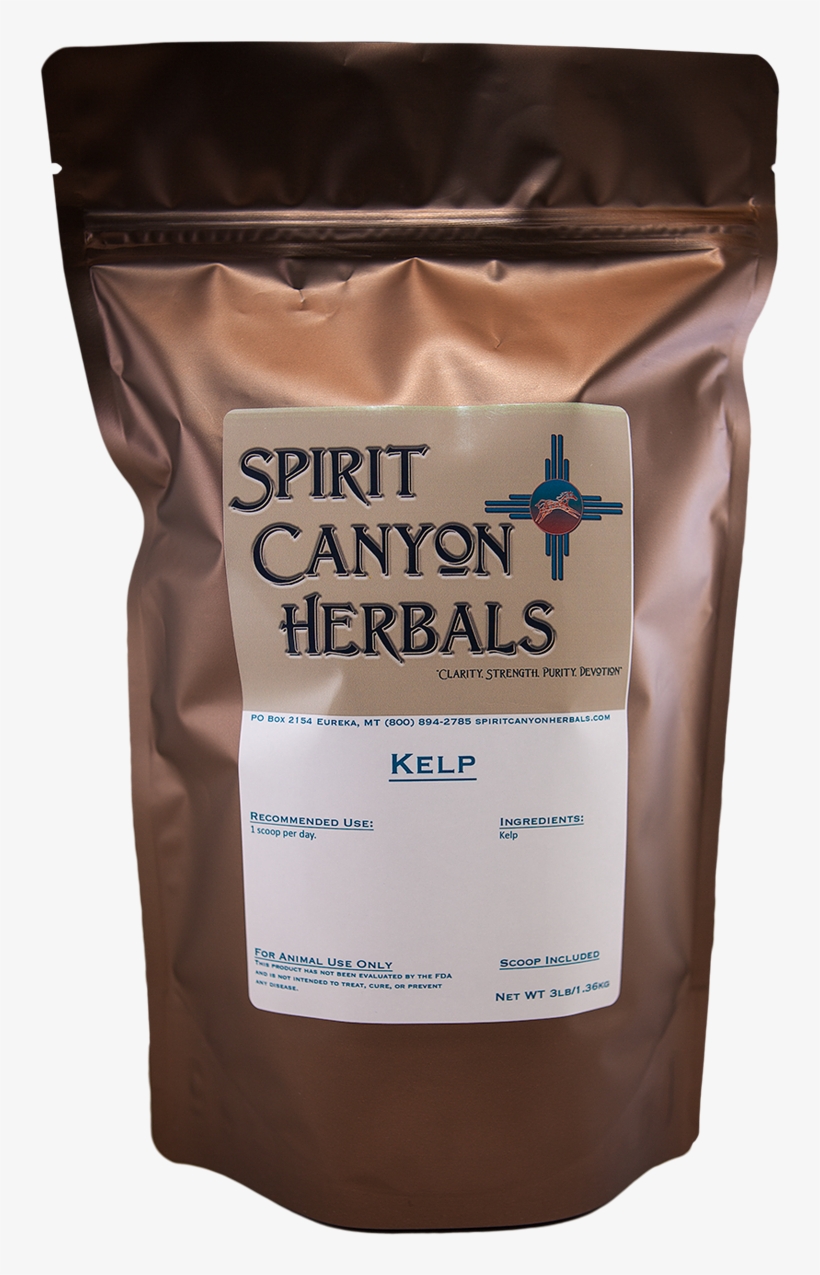 Kelp, transparent png