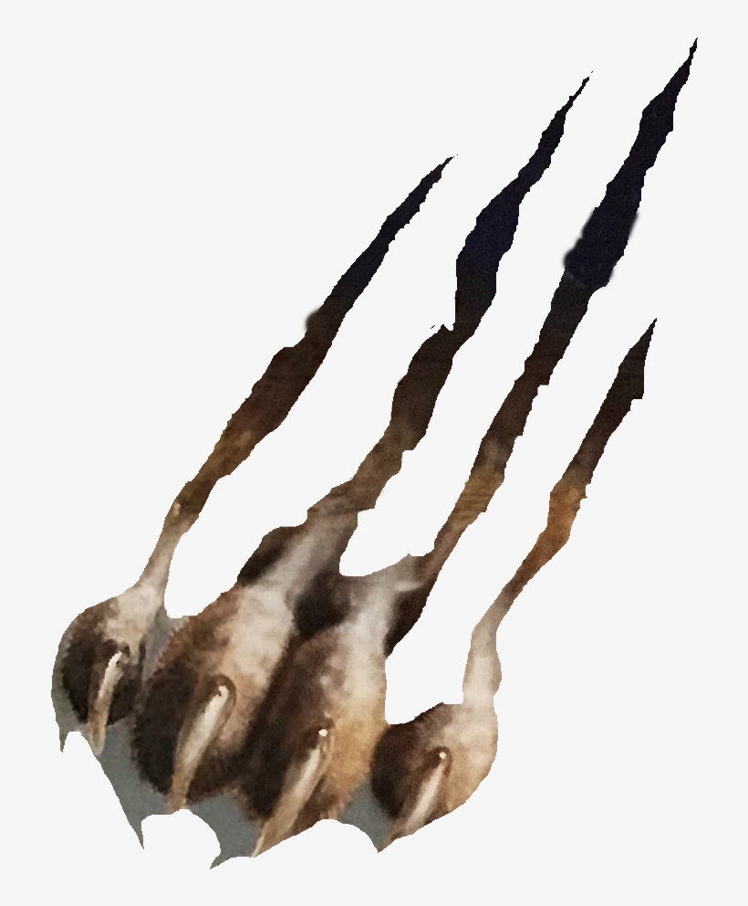 Athletics Cougar Claw - Cougar, transparent png
