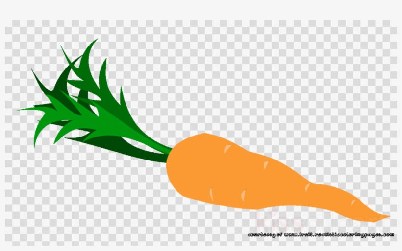 Illustration Clipart Carrot Clip Art - Pink Flamingos Clip Art Free, transparent png