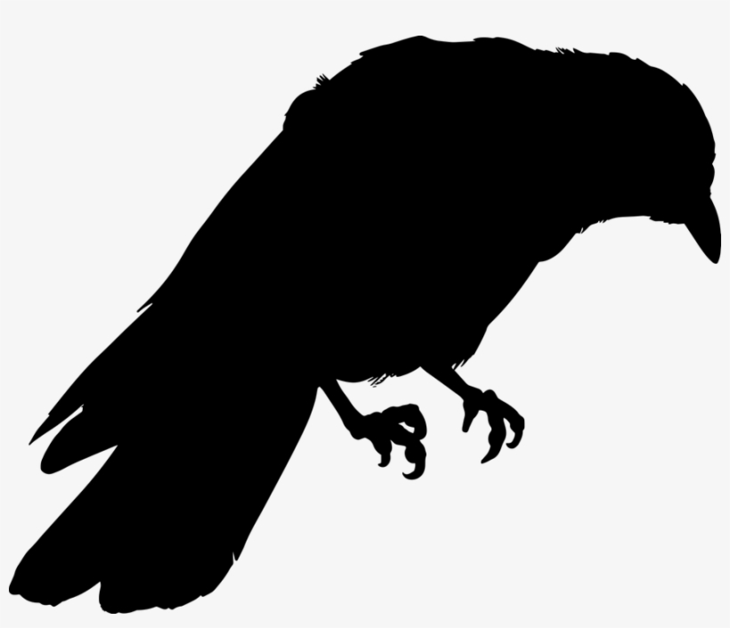 Crow Png 14, Buy Clip Art - Corvo Disegno, transparent png