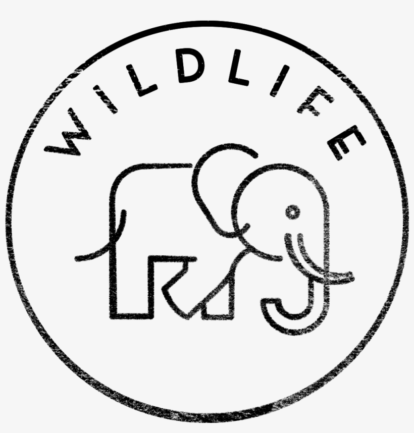 Icon Black Wildlife - Indian Elephant, transparent png