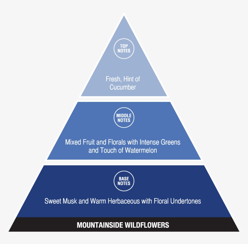 Mountainside Wildflowers - Social Structure Of The Usa, transparent png