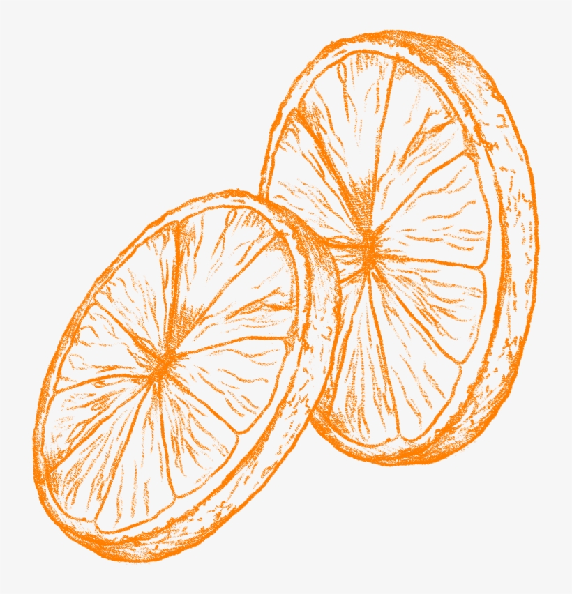 Orange Trees From 50 To 80 Years Of Age Can Still Bear - Orange, transparent png