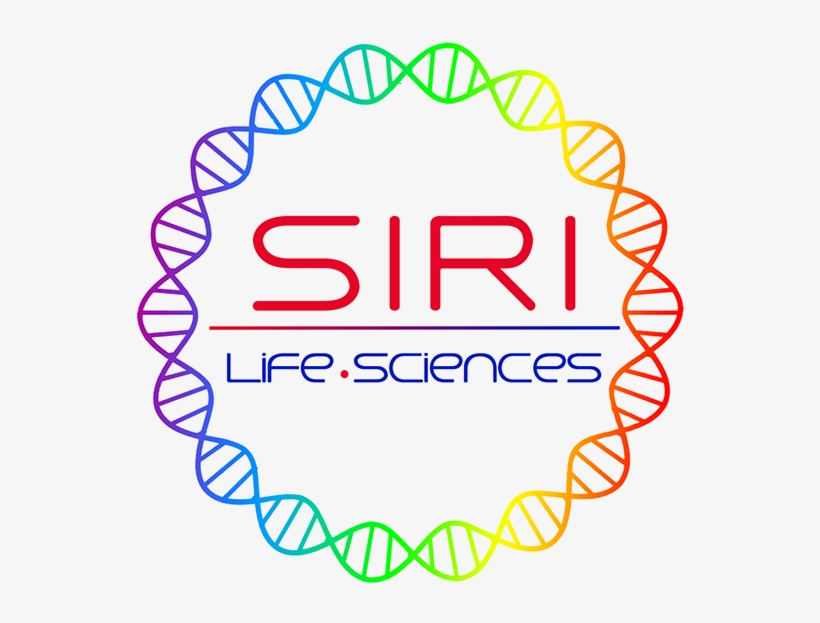 See Users Behance Profile - Circle, transparent png