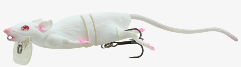 Poisson Nageur 3d Rad Rat - Savage Gear, transparent png