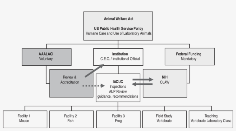 Institutions Invite Aaalaci Representatives To Review - Research, transparent png