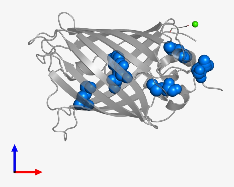 <div Class='caption-body'>pdb Entry 2qu1 Contains The - Illustration, transparent png