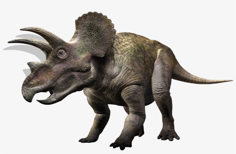 Triceratoppings - Triceratops Hd Transparent, transparent png