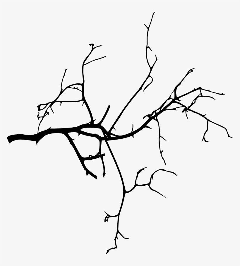 Tree Branches Silhouette At Getdrawings - Tree Branch Png Hd, transparent png
