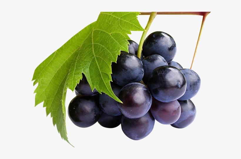 Corretajes - Colossal Squishy Mesh Grape Ball Chicken Egg Slow Rising, transparent png