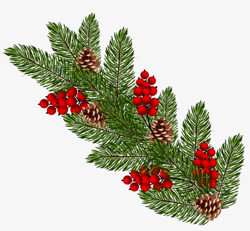 Christmas Tree Branch Png Download - Christmas Pine Branch Png, transparent png