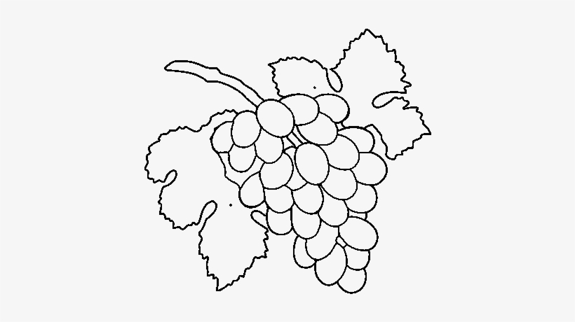 Grape, transparent png