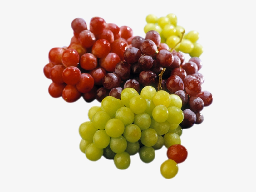 E Médica Assistente Do Incor , Silmara Regina Coimbra, - Alimentos Anti Inflamatórios, transparent png