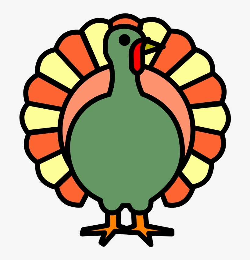Drawn Turkey Bird - Turkey Coloring Page, transparent png