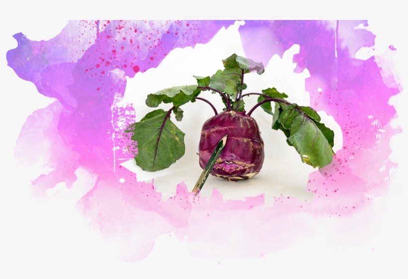 Background - Garden Roses, transparent png