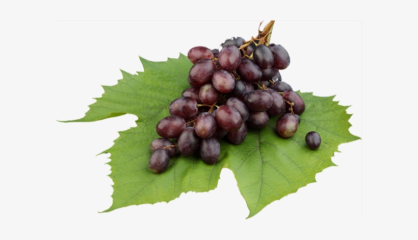 Grape, transparent png