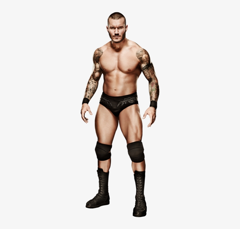 Unnamed - Randy Orton Full Body, transparent png