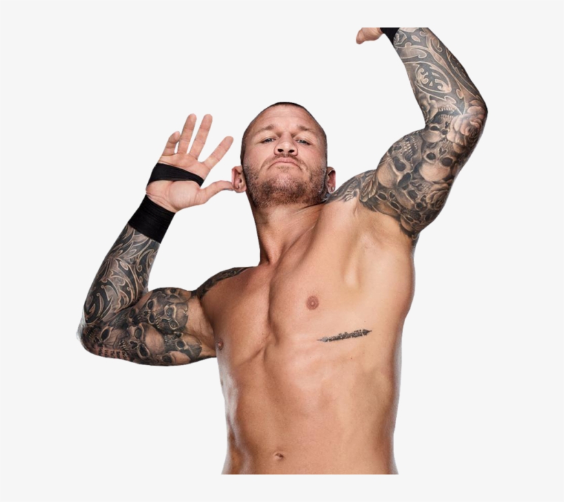 Randy Orton Awesome Picture - Randy Orton, transparent png