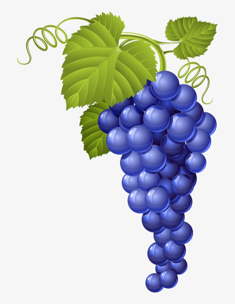 Uvassolas - Wine Vector, transparent png