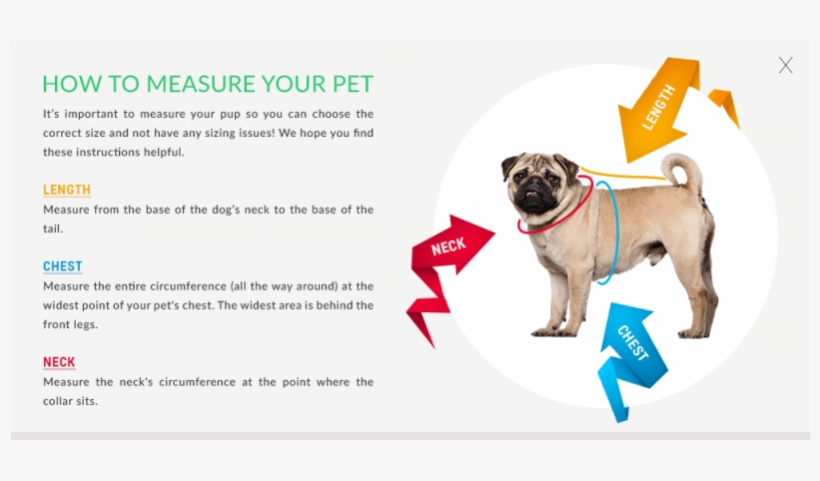 New Orleans Saints Cheerleader Dog Dress New Orleans - Pug Dog Breed: A Comprehensive Pug Owner's Manual,, transparent png