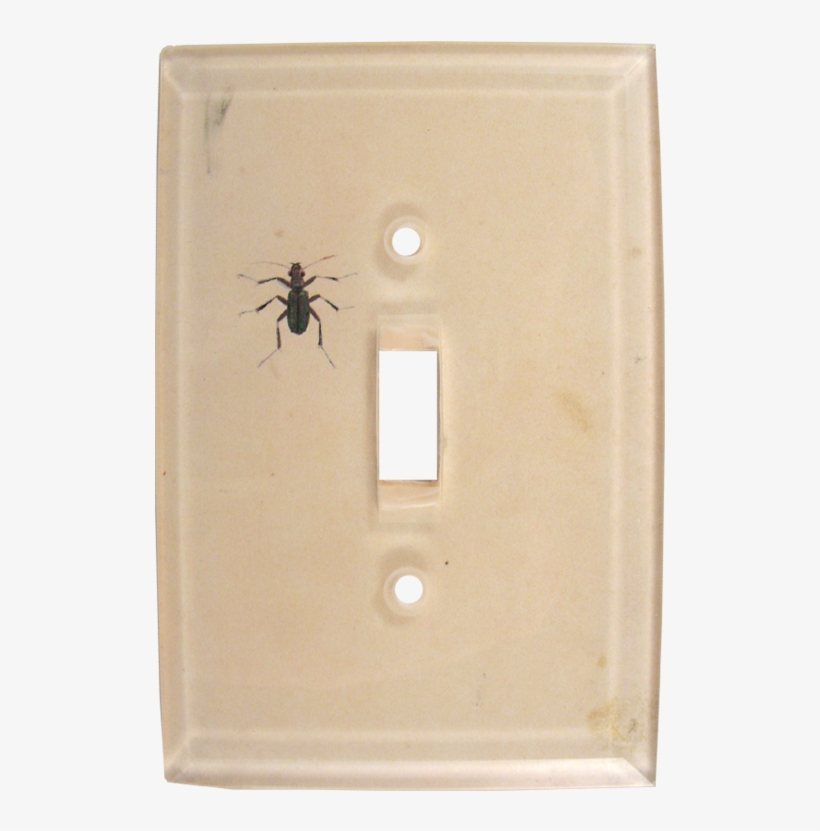 Human Body Louse, transparent png